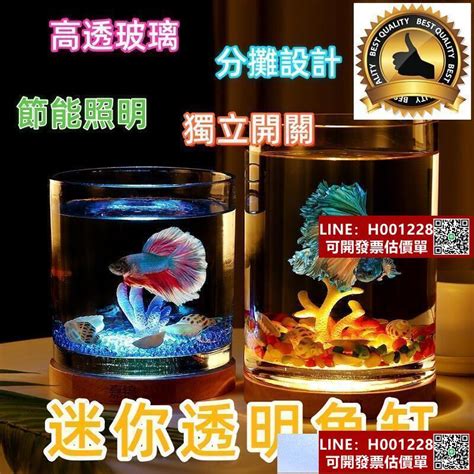 辦公桌魚缸|孔雀魚設缸示範，辦公桌魚缸！宮崎駿龍貓主題｜水族箱姊